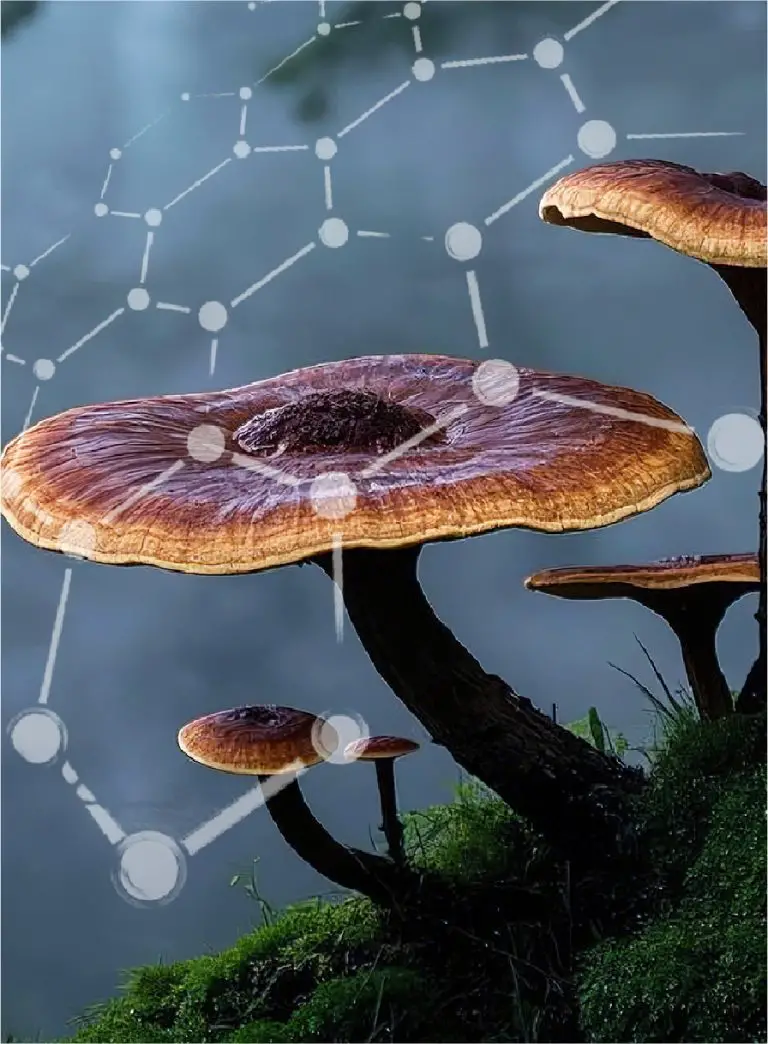 Scientific Nourishment